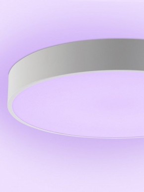 Накладной светильник Natali Kovaltseva MODERN LED LAMPS 81105/1C в Агрызе - agryz.ok-mebel.com | фото 9