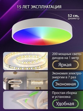 Накладной светильник Natali Kovaltseva MODERN LED LAMPS 81105/2C в Агрызе - agryz.ok-mebel.com | фото 6