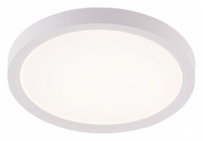 Накладной светильник Natali Kovaltseva PLAIN LED LAMPS 81113/1C в Агрызе - agryz.ok-mebel.com | фото