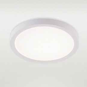 Накладной светильник Natali Kovaltseva PLAIN LED LAMPS 81113/1C в Агрызе - agryz.ok-mebel.com | фото 2
