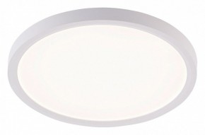 Накладной светильник Natali Kovaltseva PLAIN LED LAMPS 81113/2C в Агрызе - agryz.ok-mebel.com | фото