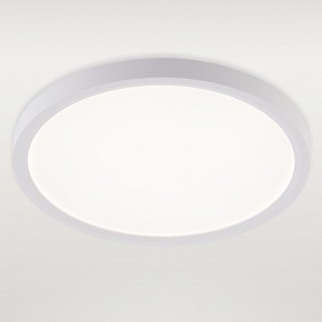 Накладной светильник Natali Kovaltseva PLAIN LED LAMPS 81113/2C в Агрызе - agryz.ok-mebel.com | фото 2
