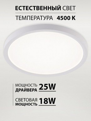 Накладной светильник Natali Kovaltseva PLAIN LED LAMPS 81113/2C в Агрызе - agryz.ok-mebel.com | фото 3