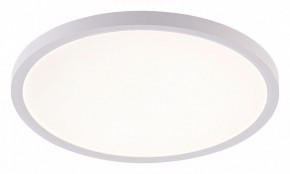 Накладной светильник Natali Kovaltseva PLAIN LED LAMPS 81113/3C в Агрызе - agryz.ok-mebel.com | фото