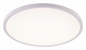 Накладной светильник Natali Kovaltseva PLAIN LED LAMPS 81113/5C в Агрызе - agryz.ok-mebel.com | фото