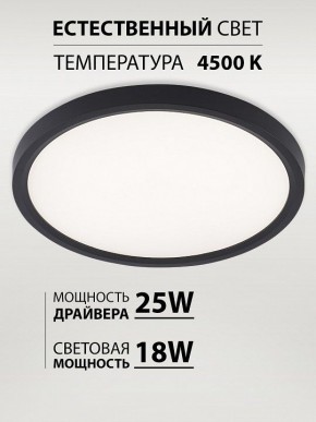 Накладной светильник Natali Kovaltseva PLAIN LED LAMPS 81114/2C в Агрызе - agryz.ok-mebel.com | фото 3