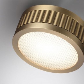 Накладной светильник Odeon Light Manchester 7013/7CL в Агрызе - agryz.ok-mebel.com | фото 5