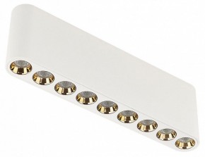 Накладной светильник Odeon Light Small 7091/21CL в Агрызе - agryz.ok-mebel.com | фото