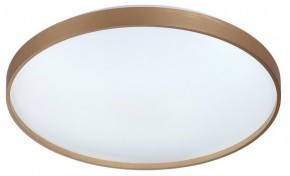 Накладной светильник Sonex Gaby 7783/EL в Агрызе - agryz.ok-mebel.com | фото 4