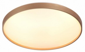 Накладной светильник Sonex Gaby 7783/EL в Агрызе - agryz.ok-mebel.com | фото 5