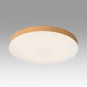 Накладной светильник Sonex Gamma 7761/24L в Агрызе - agryz.ok-mebel.com | фото 3
