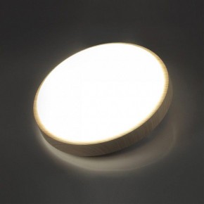 Накладной светильник Sonex Losta 7607/AL в Агрызе - agryz.ok-mebel.com | фото 3