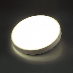 Накладной светильник Sonex Losta 7628/CL в Агрызе - agryz.ok-mebel.com | фото 3