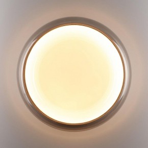Накладной светильник Sonex PORTMAN 7777/DLN в Агрызе - agryz.ok-mebel.com | фото 6