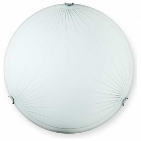 Накладной светильник TopLight Wifa TL9142Y-00WH в Агрызе - agryz.ok-mebel.com | фото