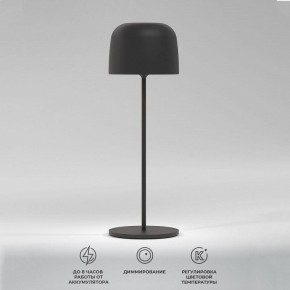 Настольная лампа декоративная Elektrostandard Bitty a069002 в Агрызе - agryz.ok-mebel.com | фото 2