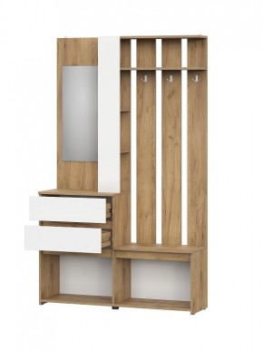НЕКСТ 1 Вешалка с зеркалом + Шкаф 2-х ств. с ящиками в Агрызе - agryz.ok-mebel.com | фото 5