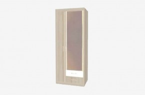НИКА Н10з Шкаф для одежды в Агрызе - agryz.ok-mebel.com | фото 3