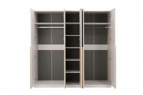НИКОЛЬ 25 Шкаф 5-ти створчатый в Агрызе - agryz.ok-mebel.com | фото 3