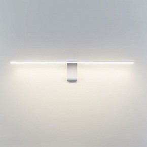 Подсветка для картины Odeon Light Tiny 7070/8WL в Агрызе - agryz.ok-mebel.com | фото 2