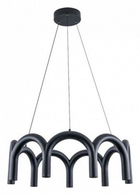 Подвесная люстра Arte Lamp Warhol A3258LM-45BK в Агрызе - agryz.ok-mebel.com | фото 2