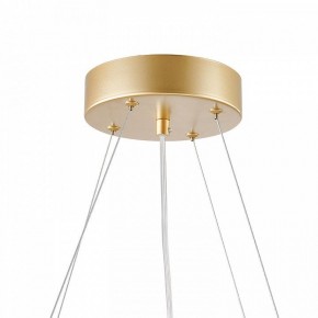 Подвесная люстра Favourite Asterismo 4448-6P в Агрызе - agryz.ok-mebel.com | фото 9