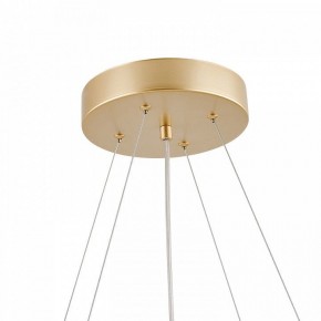 Подвесная люстра Favourite Asterismo 4448-8P в Агрызе - agryz.ok-mebel.com | фото 8