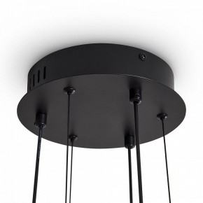 Подвесная люстра Freya Brilliance FR5557PL-L22B1 в Агрызе - agryz.ok-mebel.com | фото 10