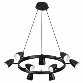 Подвесная люстра Lumion Ilmina 8237/9 в Агрызе - agryz.ok-mebel.com | фото 2