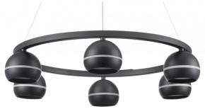 Подвесная люстра Lumion Luazana 8242/6 в Агрызе - agryz.ok-mebel.com | фото