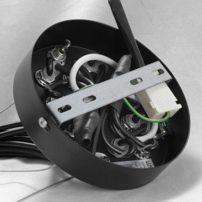 Подвесная люстра Lussole Seneca GRLSP-8177 в Агрызе - agryz.ok-mebel.com | фото 10