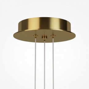 Подвесная люстра Maytoni Arana MOD401PL-L108BS3K в Агрызе - agryz.ok-mebel.com | фото 7