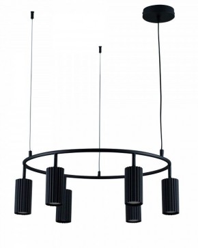 Подвесная люстра Moderli Cora V11601-6P в Агрызе - agryz.ok-mebel.com | фото 2