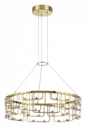 Подвесная люстра Odeon Light ZAHA 7060/44L в Агрызе - agryz.ok-mebel.com | фото 2