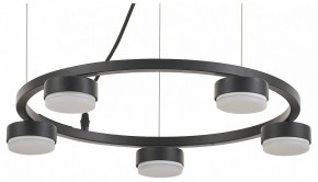 Подвесная люстра Rivoli Leontina Б0066428 в Агрызе - agryz.ok-mebel.com | фото