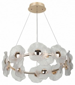 Подвесная люстра Rivoli Shannon Б0061947 в Агрызе - agryz.ok-mebel.com | фото 4