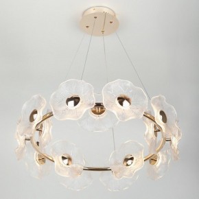 Подвесная люстра Rivoli Shannon Б0061947 в Агрызе - agryz.ok-mebel.com | фото 6