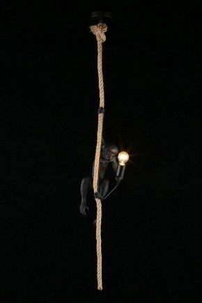 Подвесной светильник Aployt Magali APL.309.16.01 в Агрызе - agryz.ok-mebel.com | фото 3