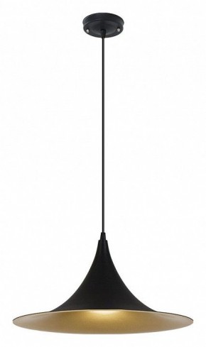 Подвесной светильник Arte Lamp Carmel A7080SP-1BK в Агрызе - agryz.ok-mebel.com | фото 2