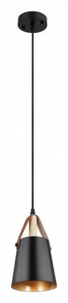 Подвесной светильник Arte Lamp Thomas A7032SP-1BK в Агрызе - agryz.ok-mebel.com | фото 2