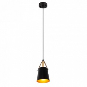 Подвесной светильник Arte Lamp Thomas A7032SP-1BK в Агрызе - agryz.ok-mebel.com | фото 3