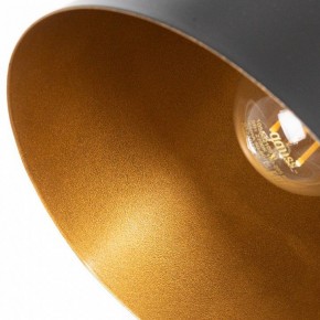 Подвесной светильник Arte Lamp Thomas A7032SP-1BK в Агрызе - agryz.ok-mebel.com | фото 5
