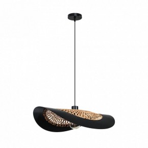 Подвесной светильник Arte Lamp Woodstock A7059SP-1BK в Агрызе - agryz.ok-mebel.com | фото 2
