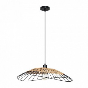 Подвесной светильник Arte Lamp Woodstock A7061SP-1BK в Агрызе - agryz.ok-mebel.com | фото 2