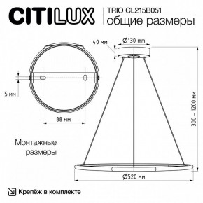 Подвесной светильник Citilux Trio CL215B051 в Агрызе - agryz.ok-mebel.com | фото 8