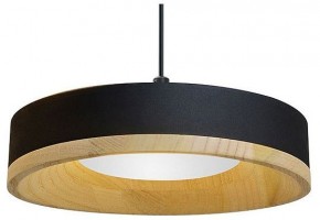 Подвесной светильник Divinare Vaso 5119/06 SP-12 в Агрызе - agryz.ok-mebel.com | фото