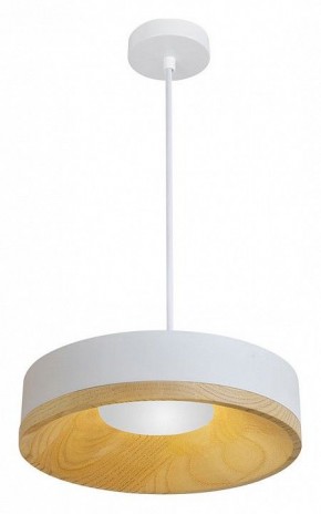 Подвесной светильник Divinare Vaso 5119/33 SP-8 в Агрызе - agryz.ok-mebel.com | фото 2