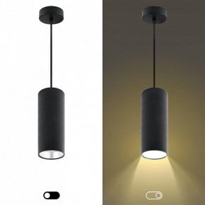 Подвесной светильник Эра  PL12 GX53 BK/SL в Агрызе - agryz.ok-mebel.com | фото 5