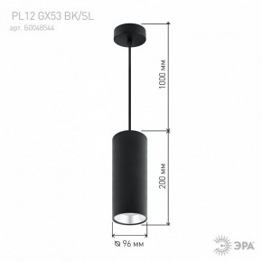 Подвесной светильник Эра  PL12 GX53 BK/SL в Агрызе - agryz.ok-mebel.com | фото 8