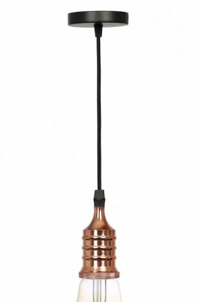 Подвесной светильник Эра PL13 Б0048525 в Агрызе - agryz.ok-mebel.com | фото 3